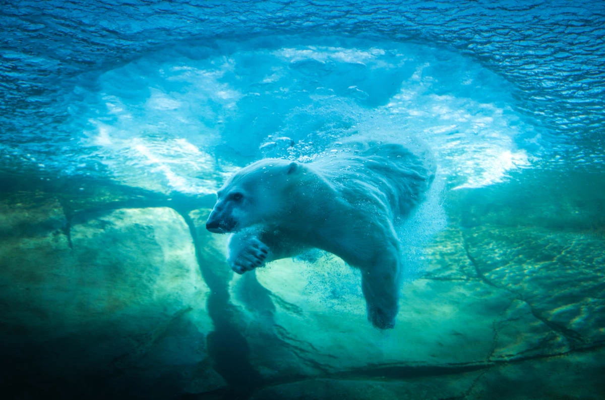 Columbus Zoo And Aquarium 