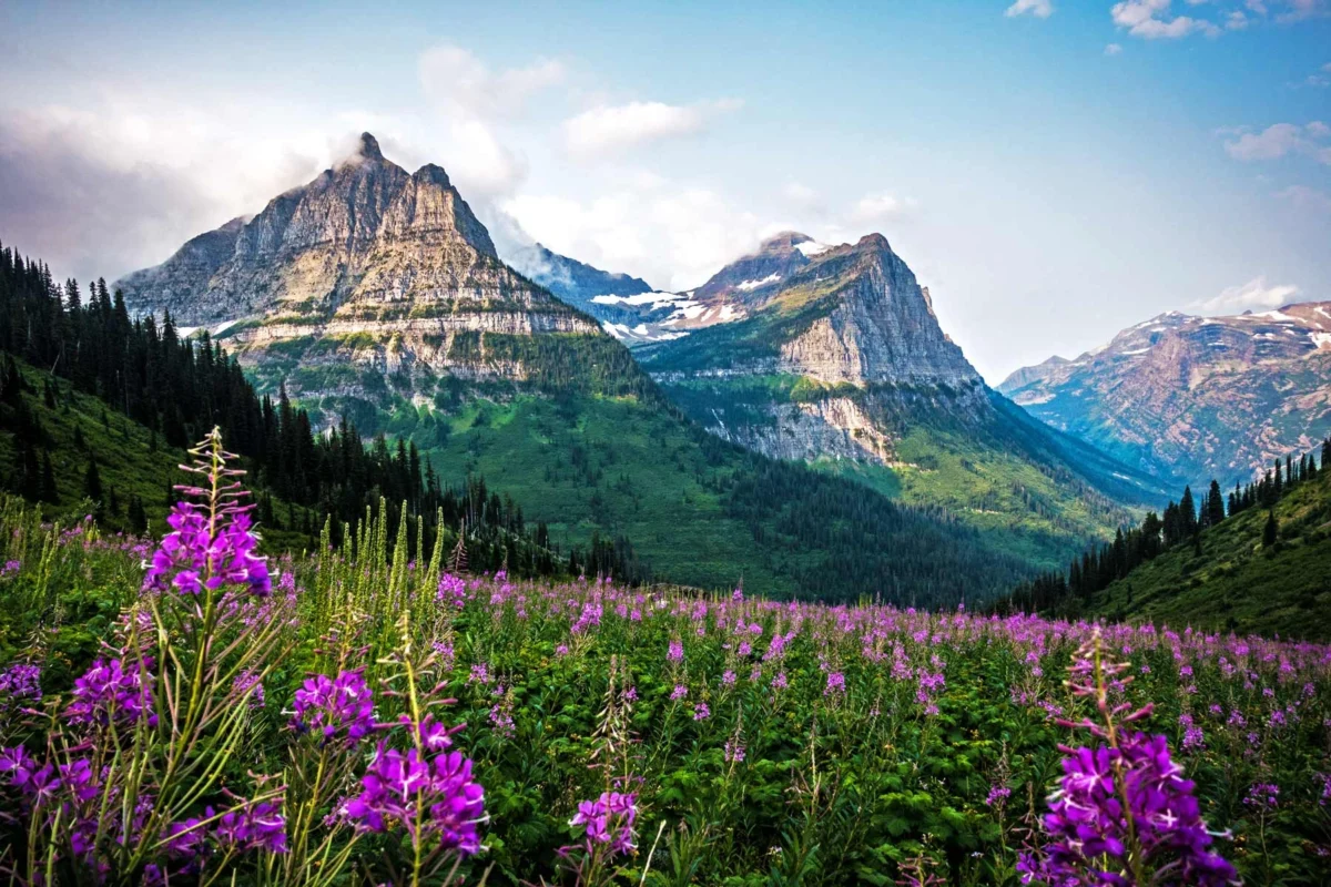 Things to Do in Montana Iis Visiting Glacier National Park