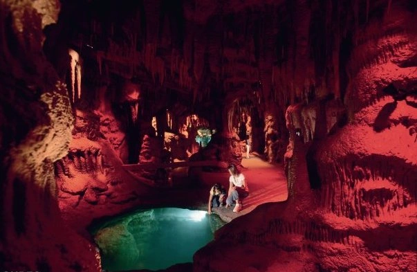 Henry Doorly Zoo and Aquarium Mahoney kingdoms of the night