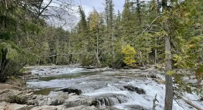 McDonald Falls Image