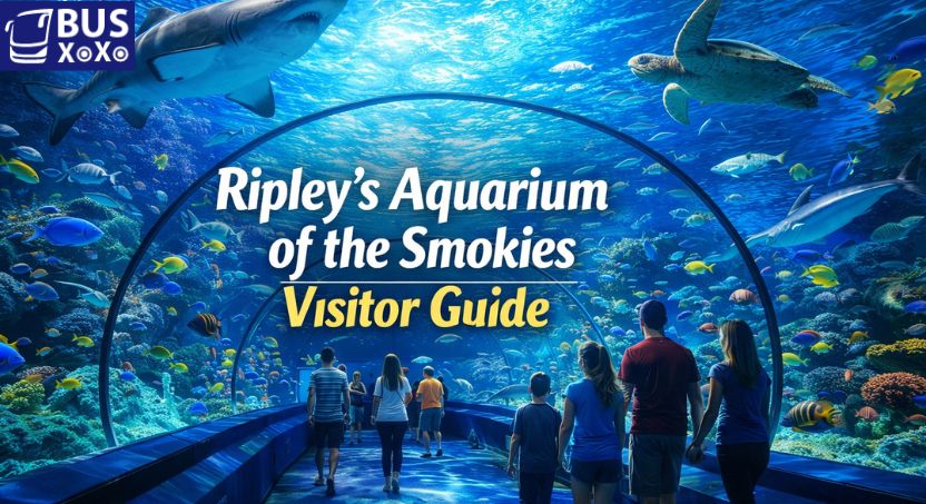 Ripley's aquarium of the smokies image