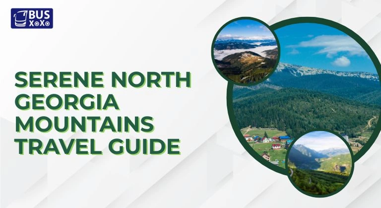 Serene North Georgia Mountains image