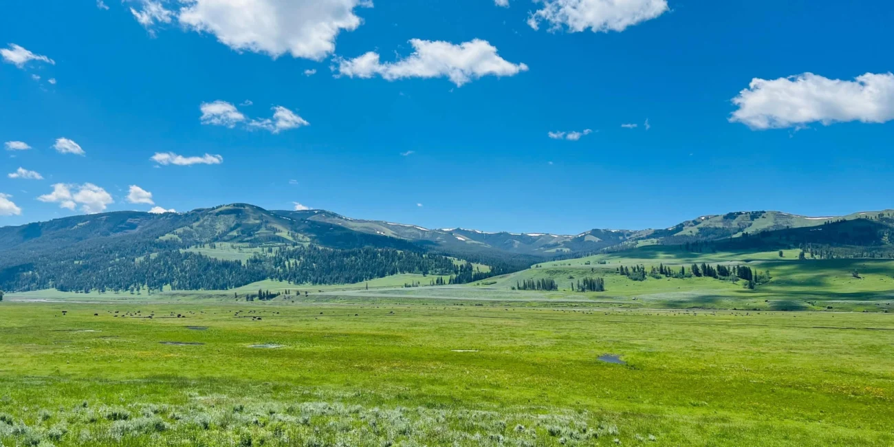 The Lamar Valley