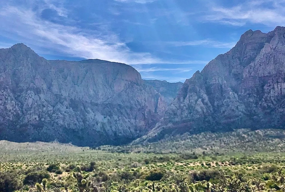 Wildlife and Desert Ecology blog img.