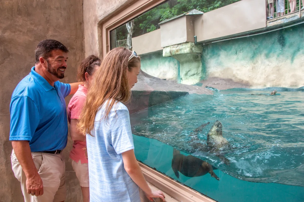 Ober Mountain Gatlinburg Wildlife Habitat at ober mountain