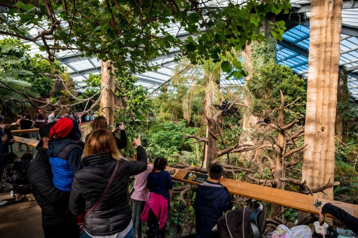 Henry Doorly Zoo and Aquarium  lied jungle