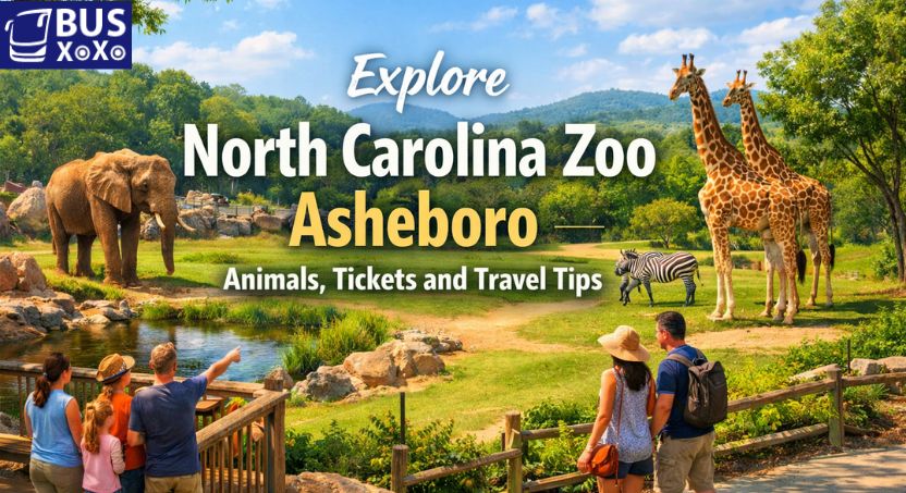 north carolina zoo asheboro image