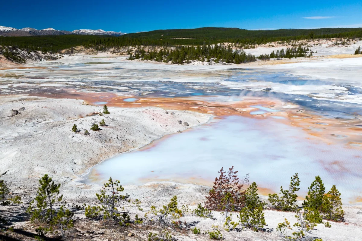 the norris geyser basin