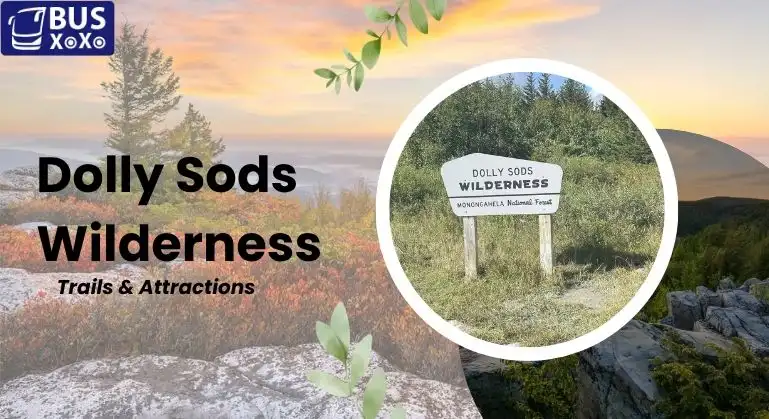 Dolly Sods Wilderness Img