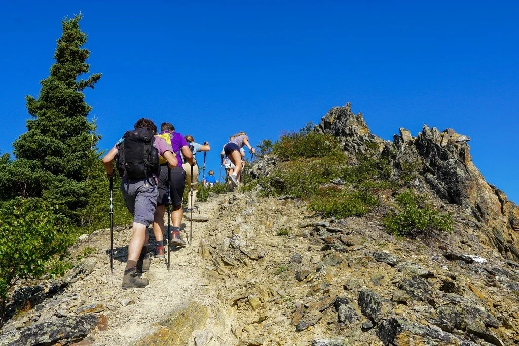 Explore Off-Trail Hiking at denali 