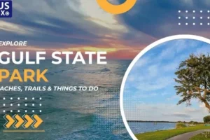 Gulf State Park Image