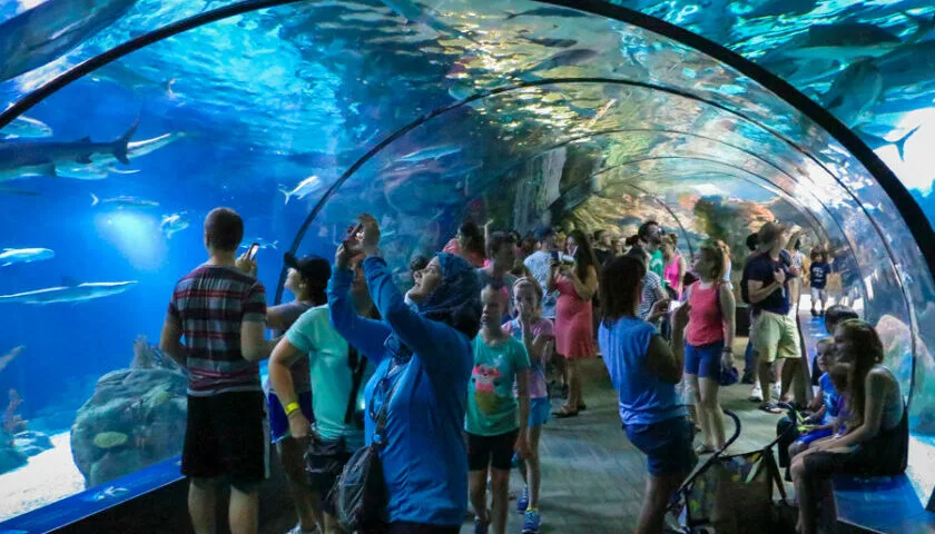 Zoológico y Acuario Henry Doorly