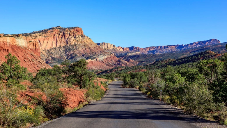 Rutas panorámicas a lo largo de la carretera del parque