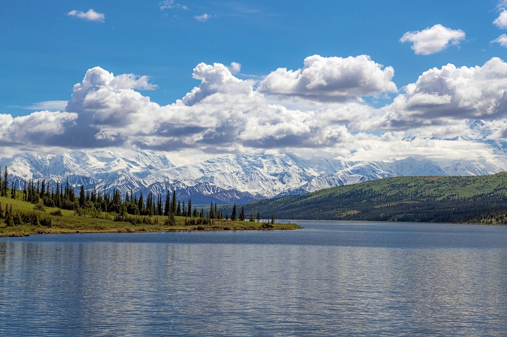 Things to Do in Denali National Park to visit Wonder Lake