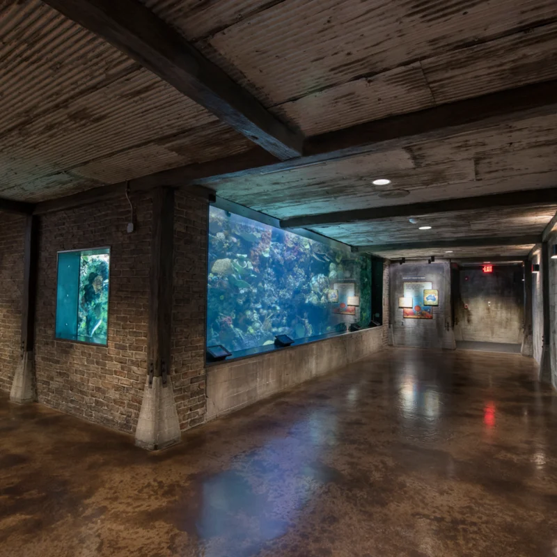 Aventura australiana