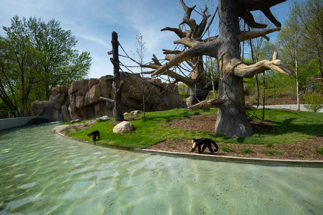 Zona central del zoológico