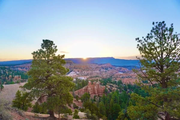 temporada de primavera