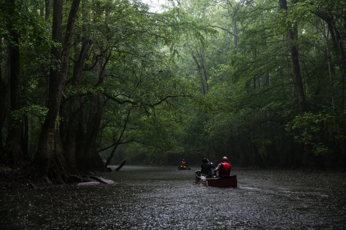Go Kayaking or Canoeing