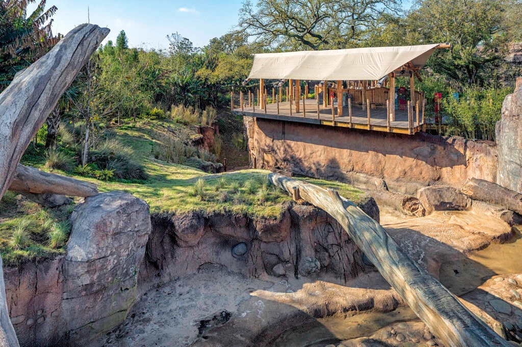 African Forest Exhibit