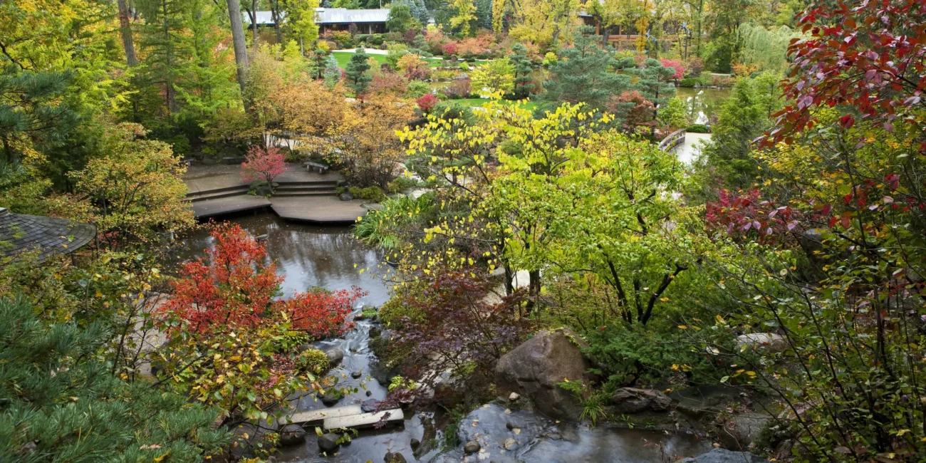 Anderson Japanese Garden