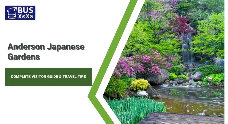 Complete Visitor Guide & Travel Tips