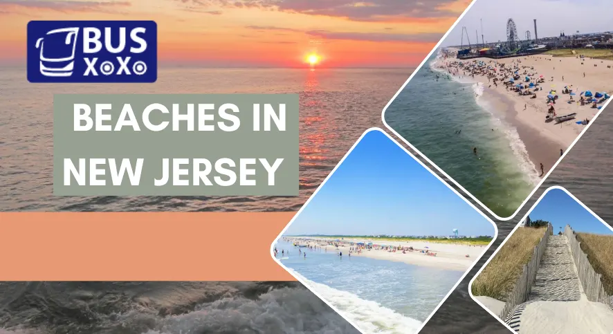 Beaches in New Jersey to make your Summer Vacation memorable