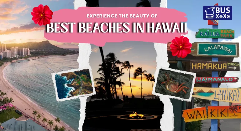 Best Beaches In Hawaii