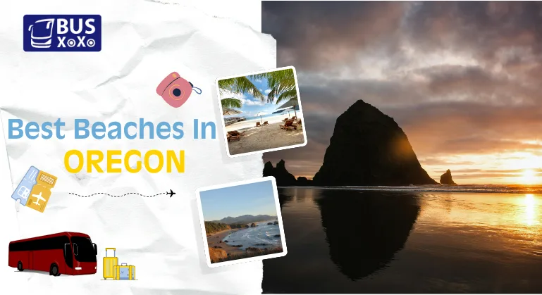 Best Beaches In Oregon