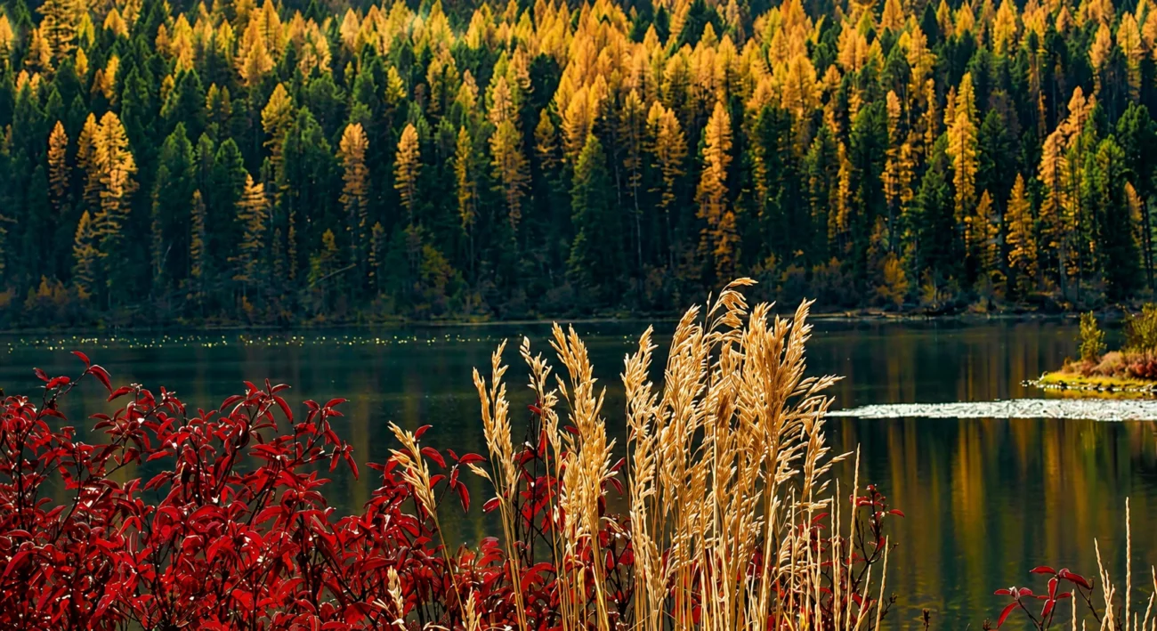 Salmon Lake State Park