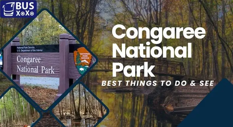 Congaree National Park