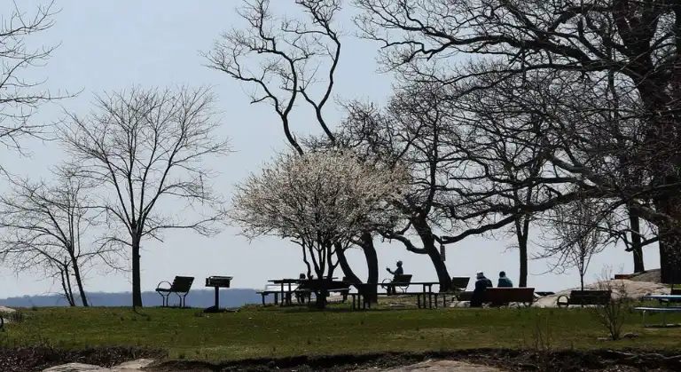 Cove Island Park image
