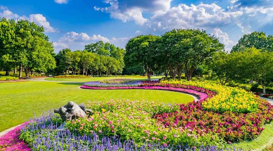 Avenida de mirtos crespón en el Jardín Botánico y Arboretum de Dallas