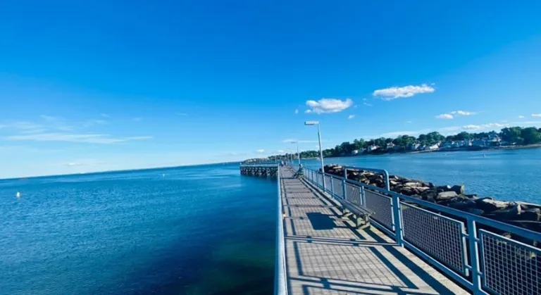 Cove Island Park image