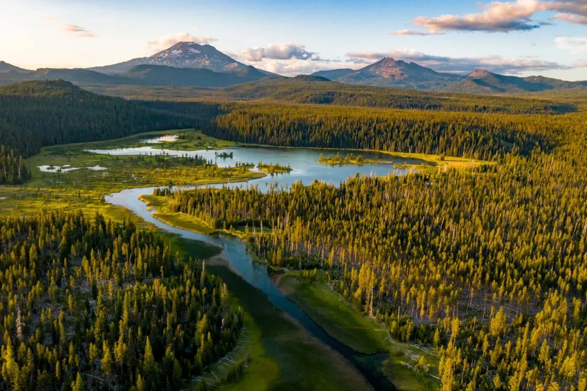 Deschutes National Forest. image