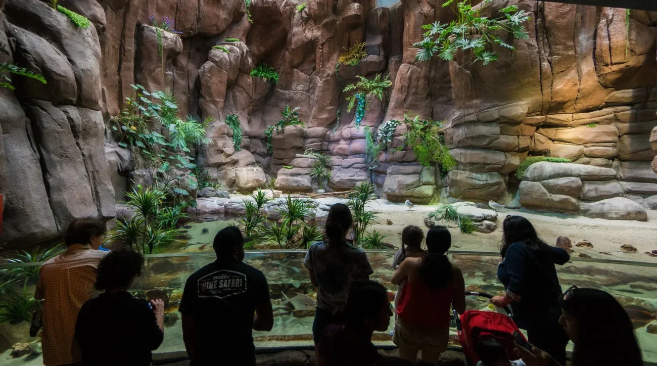 Family-Friendly Things to Do in Denver