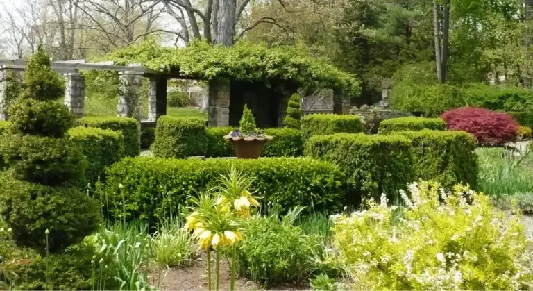 Fort Stamford Park & Goodbody Garden image
