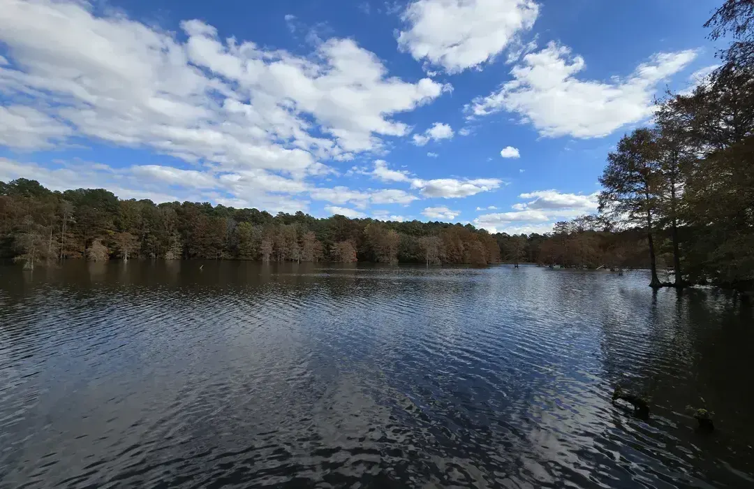 Island Trail