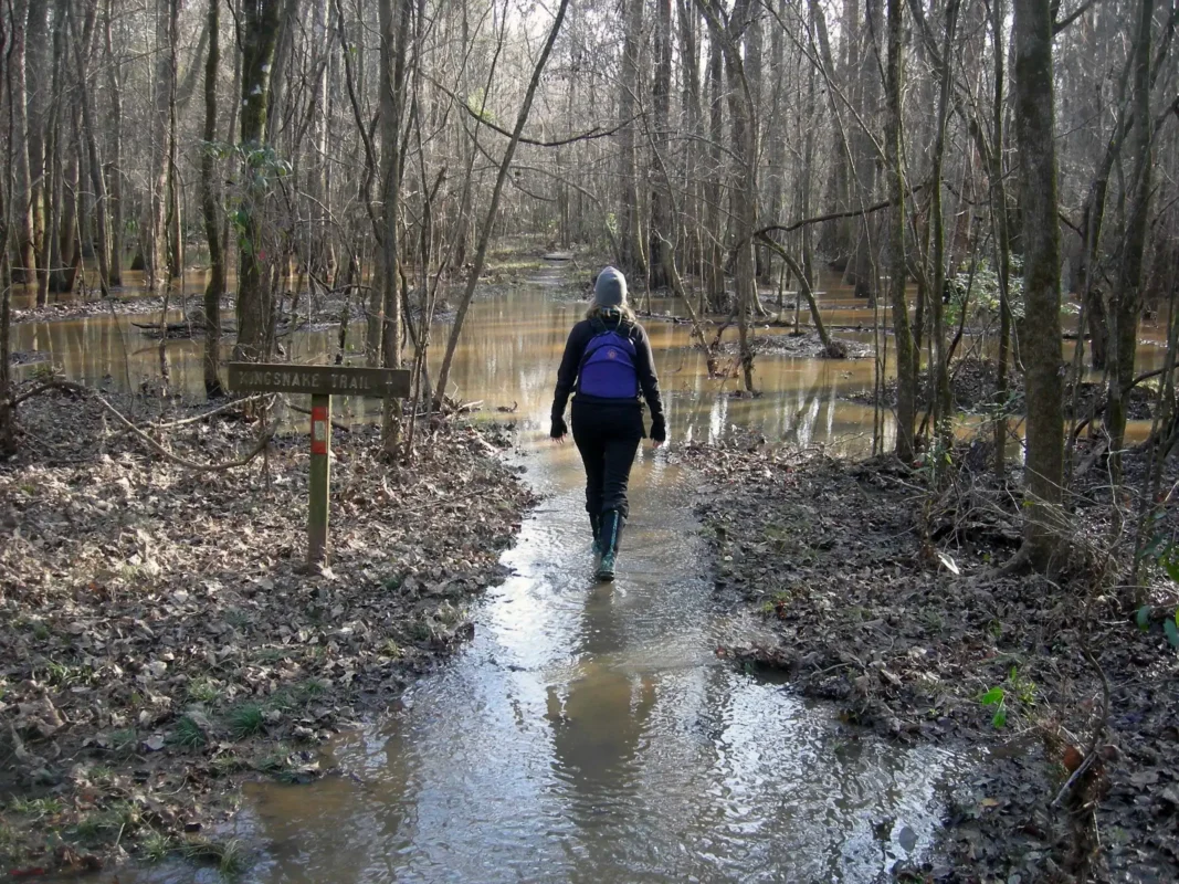 Kingsnake Trail Route