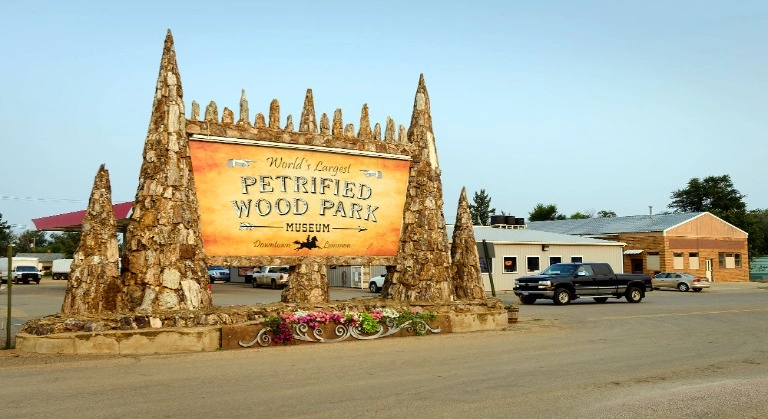 Petrified Wood Park image