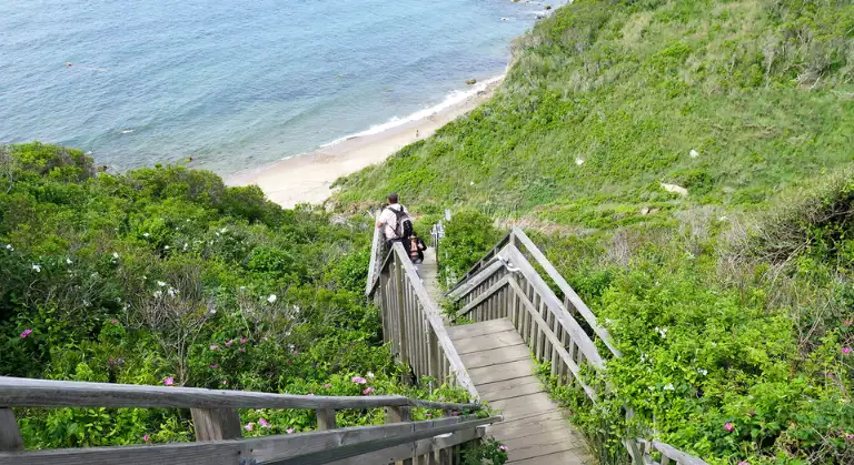 Mohegan Bluffs image