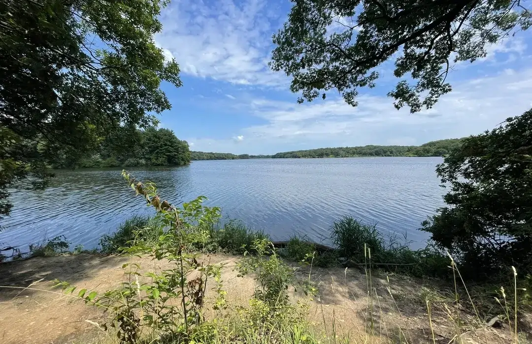 Pierce Lake