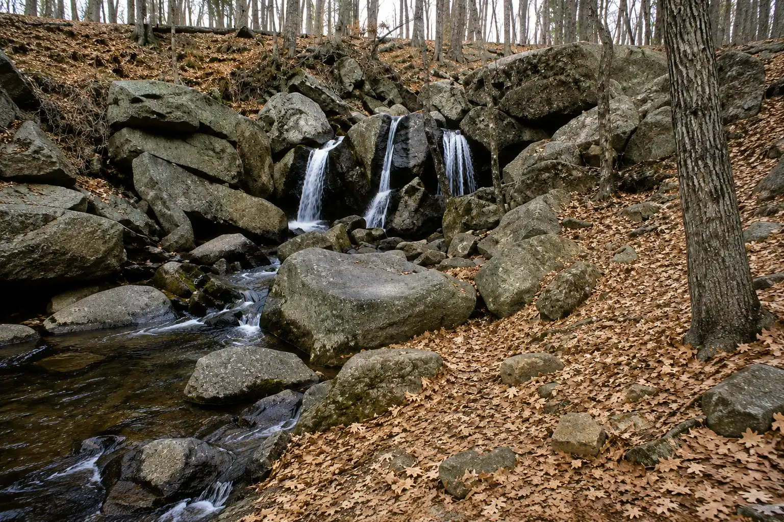 Trap Falls image
