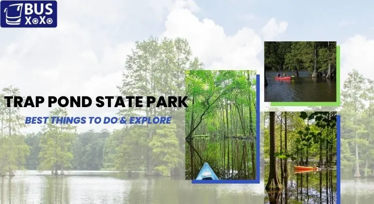 Trap Pond State Park