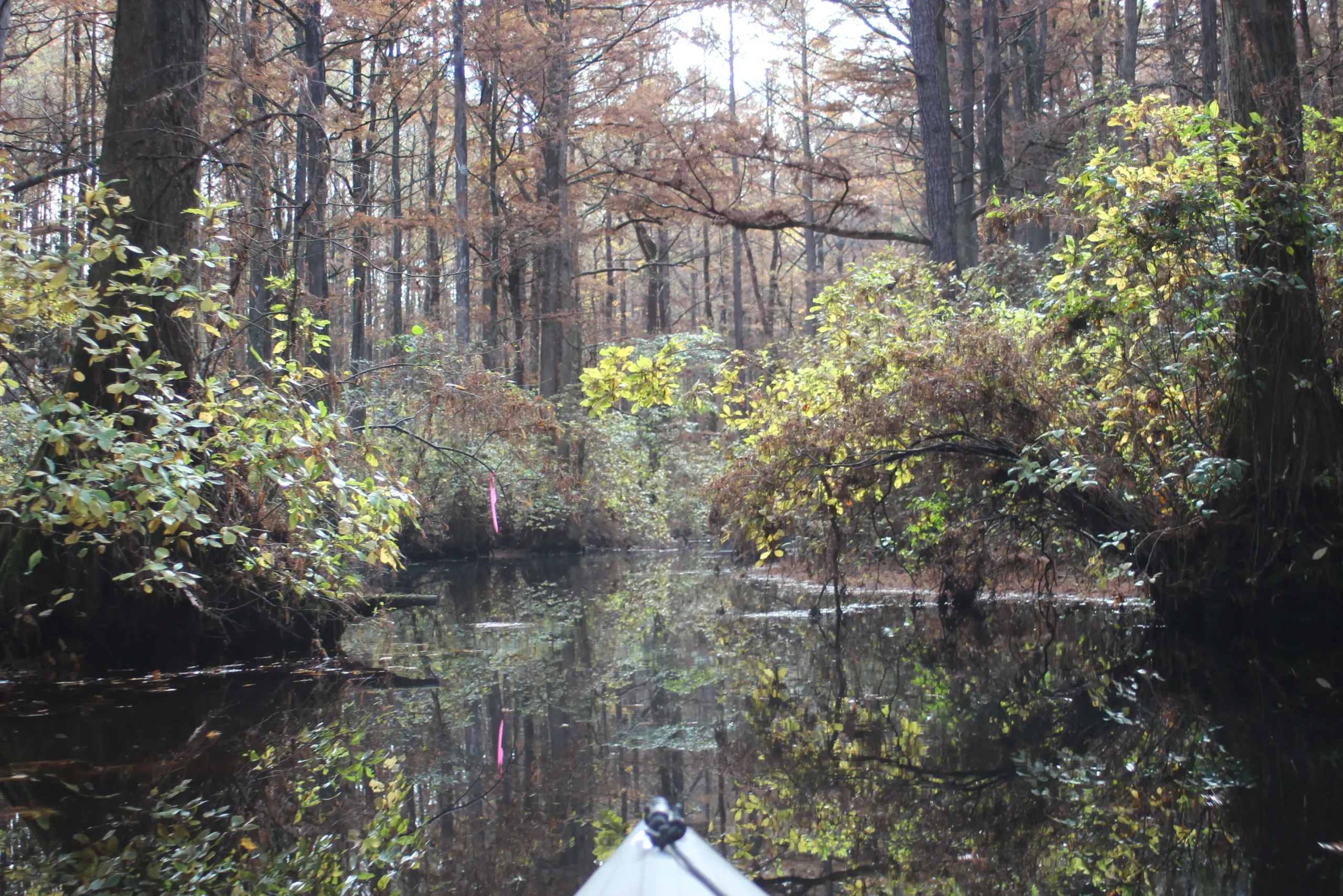 Trussum Pond