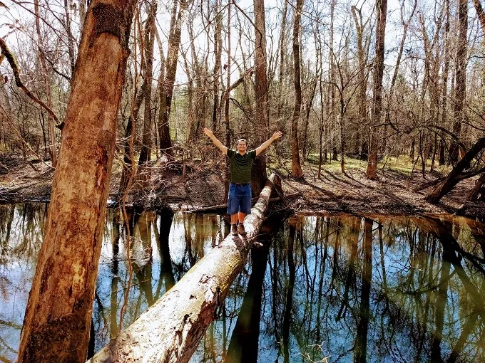 Try to balance onwood piece along to Cedar creek.