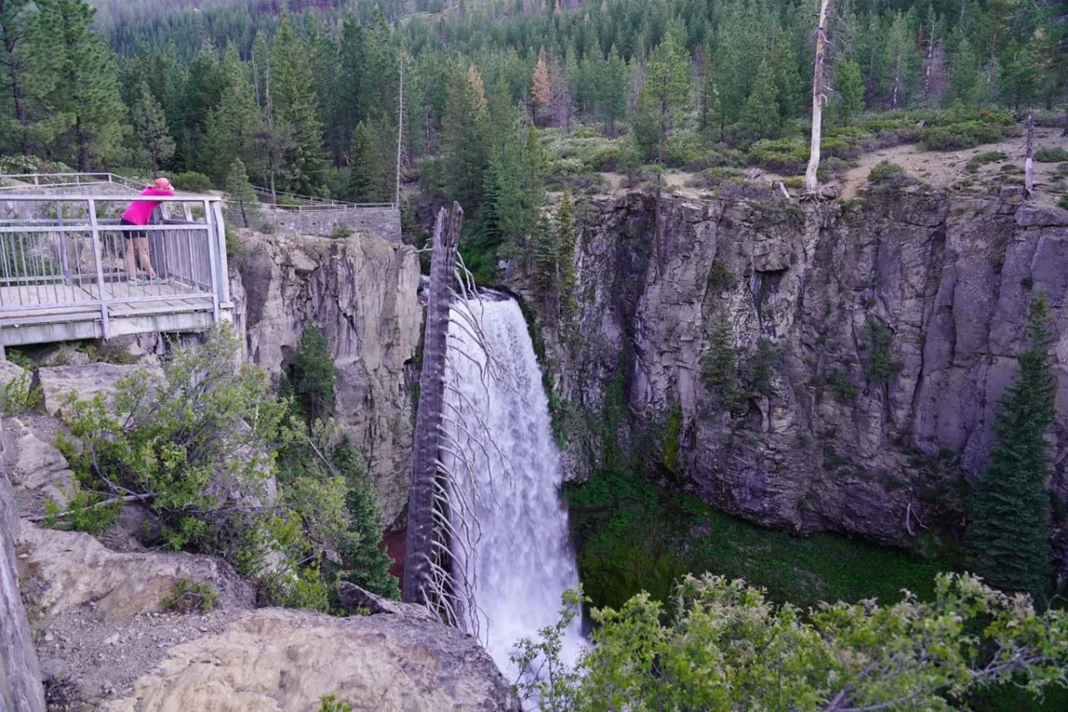 Upper Viewpoint. image