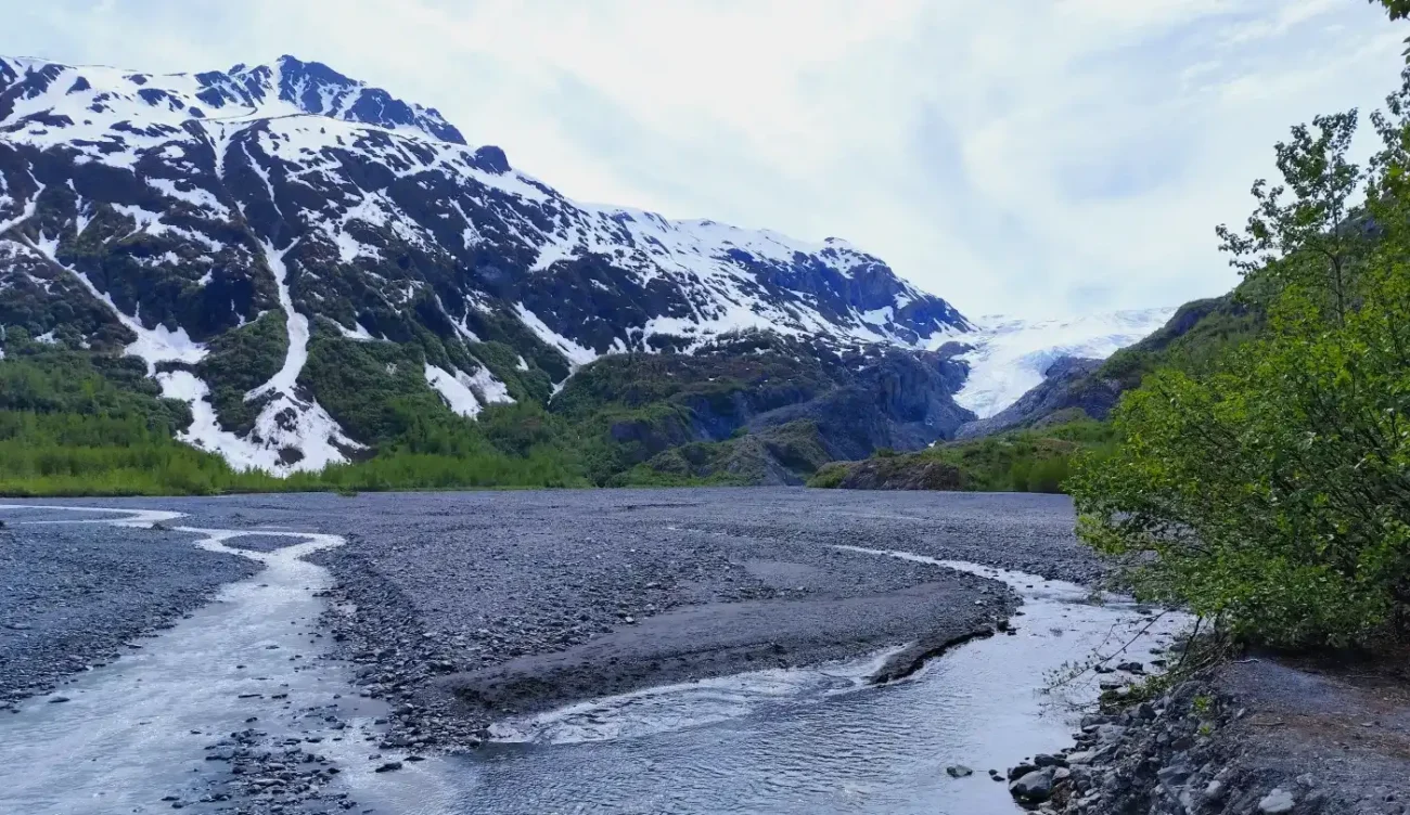 Visita el glaciar Exit