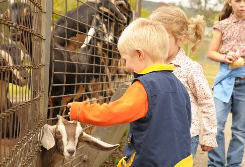 animal encounters at houston zoo