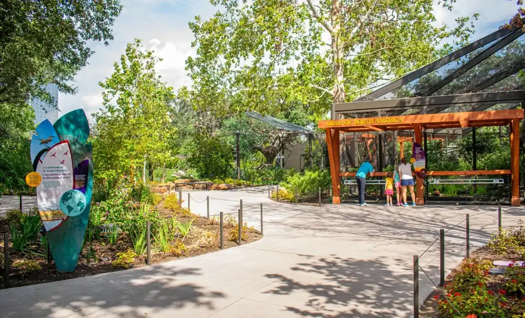 birds & aviaries houston zoo