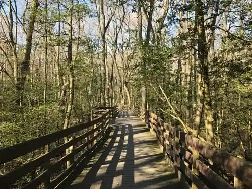 bob trail